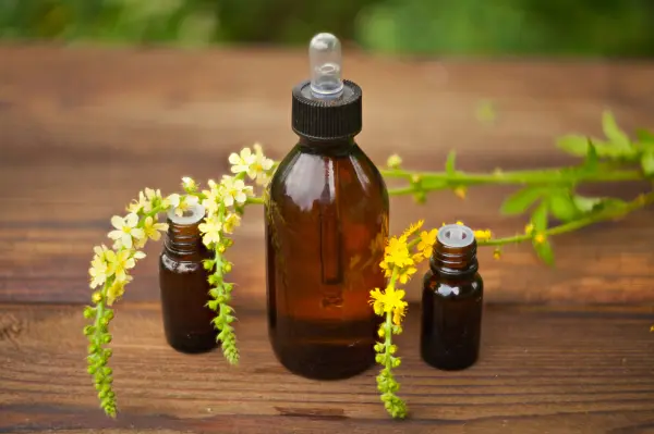 Les Fleurs de Bach : Un soutien naturel pour l’équilibre émotionnel